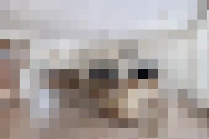 Chopinlaan 4 Waspik thumbnail 11