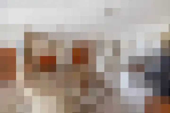 Chopinlaan 4 Waspik thumbnail 12