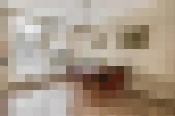 Chopinlaan 4 Waspik thumbnail 13