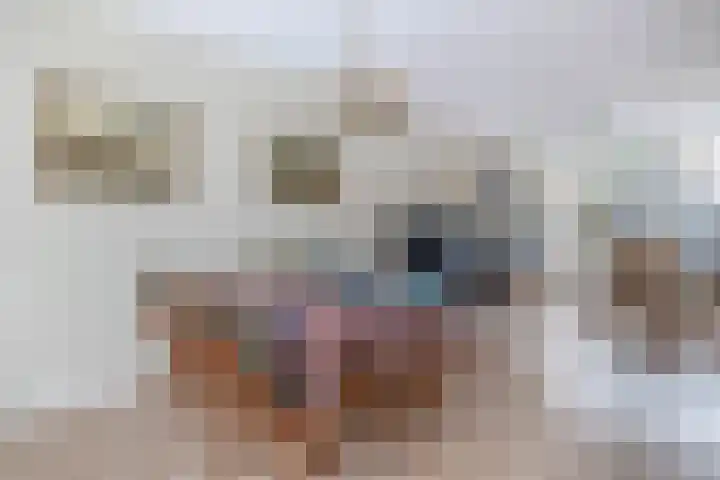 Chopinlaan 4 Waspik thumbnail 14
