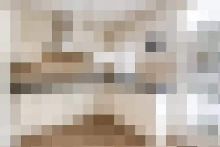 Chopinlaan 4 Waspik thumbnail 17