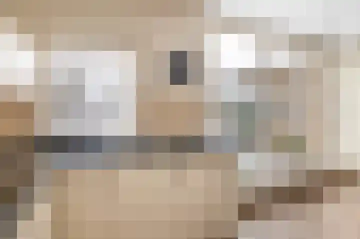 Chopinlaan 4 Waspik thumbnail 19