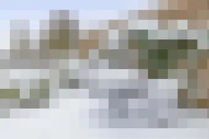 Chopinlaan 4 Waspik thumbnail 25