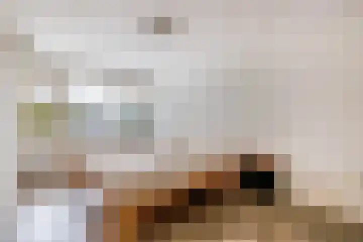 Chopinlaan 4 Waspik thumbnail 28