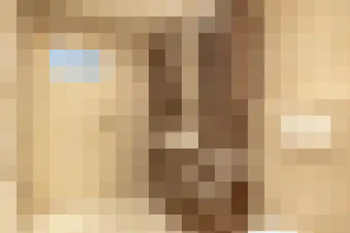 Chopinlaan 4 Waspik thumbnail 31