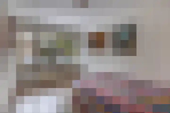 Chopinlaan 4 Waspik thumbnail 33