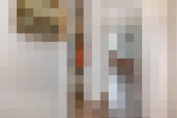 Chopinlaan 4 Waspik thumbnail 35