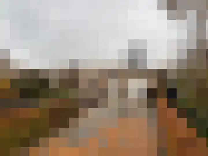 Chopinlaan 4 Waspik thumbnail 37