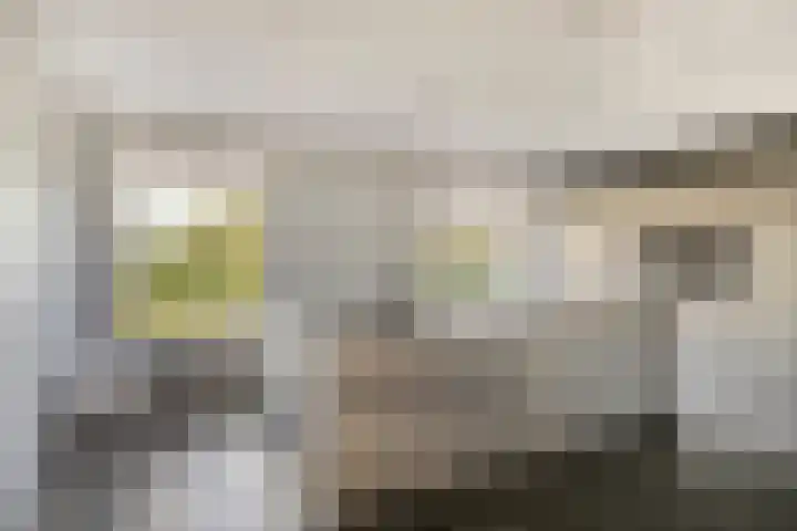 Chopinlaan 42 Assen thumbnail 21