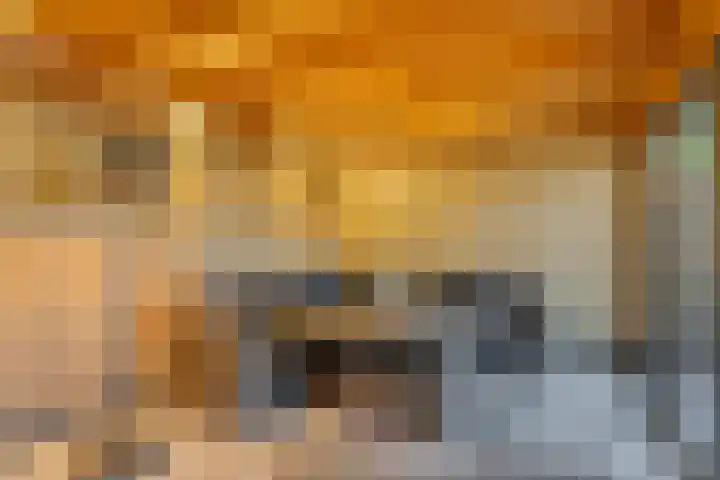 Chopinlaan 42 Assen thumbnail 43