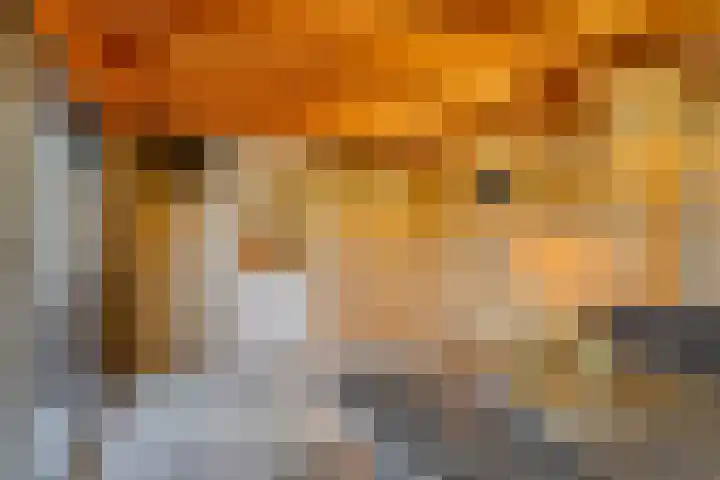 Chopinlaan 42 Assen thumbnail 44