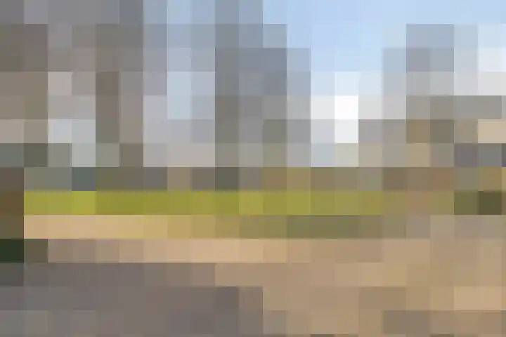 Chopinlaan 42 Assen thumbnail 48