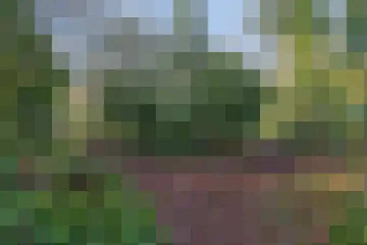 Chopinlaan 42 Assen thumbnail 49