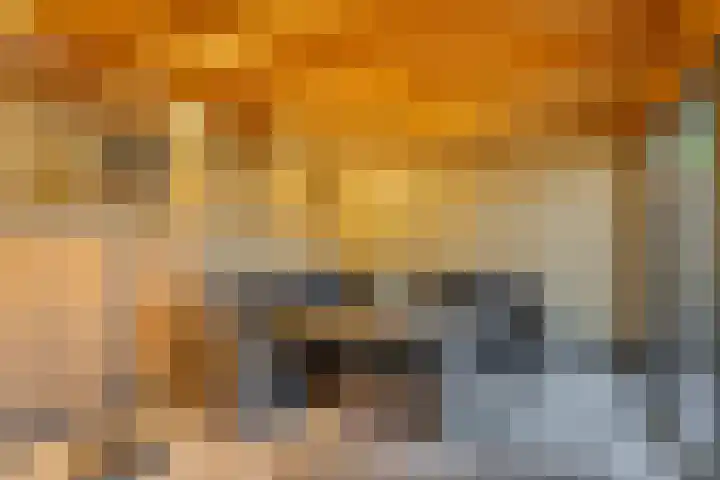 Chopinlaan 42 Assen thumbnail 5