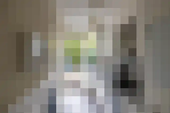 Chopinlaan 43 Groningen thumbnail 12