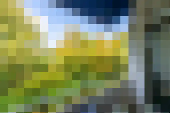 Chopinlaan 43 Groningen thumbnail 25