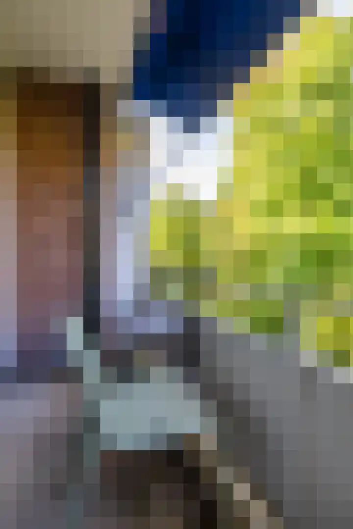 Chopinlaan 43 Groningen thumbnail 26