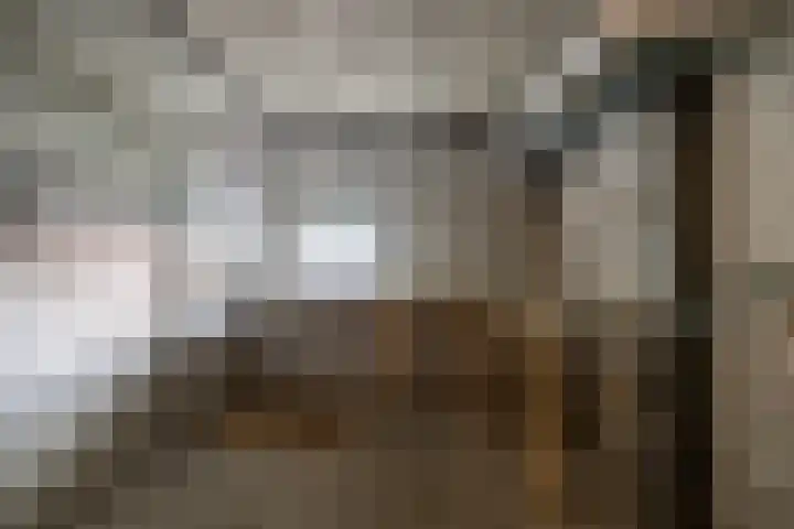 Chopinlaan 43 Groningen thumbnail 30