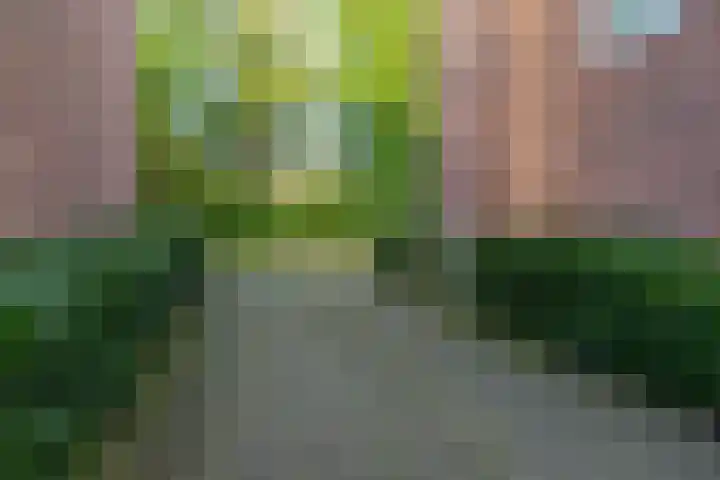 Chopinlaan 43 Groningen thumbnail 34