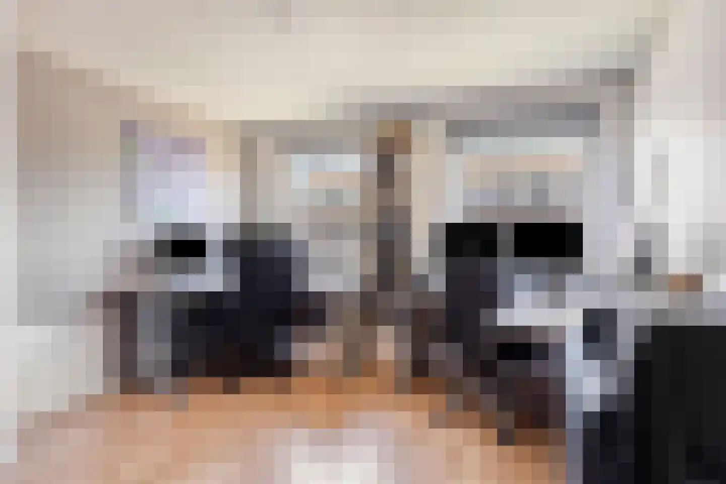 Chopinlaan 46 Eindhoven thumbnail 13
