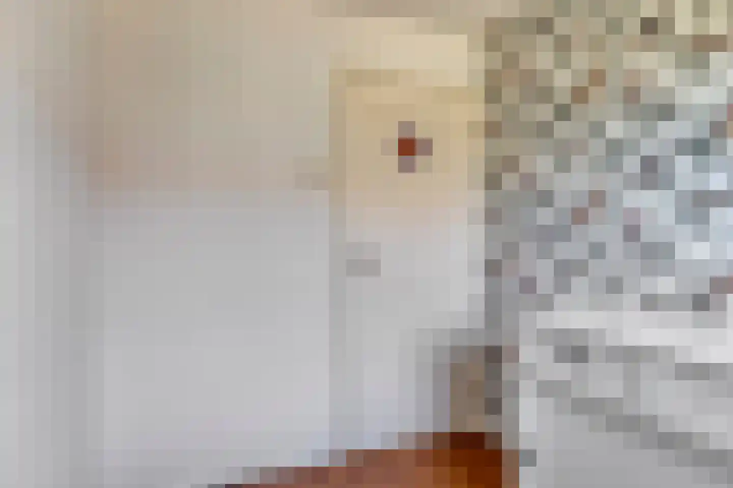Chopinlaan 46 Eindhoven thumbnail 16