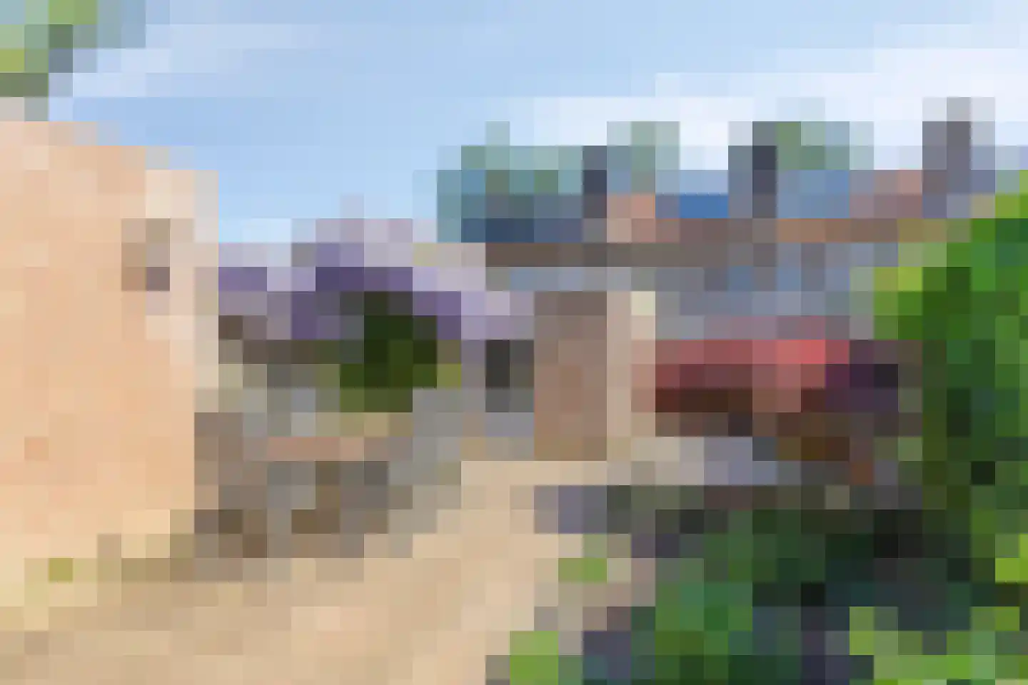 Chopinlaan 46 Eindhoven thumbnail 22