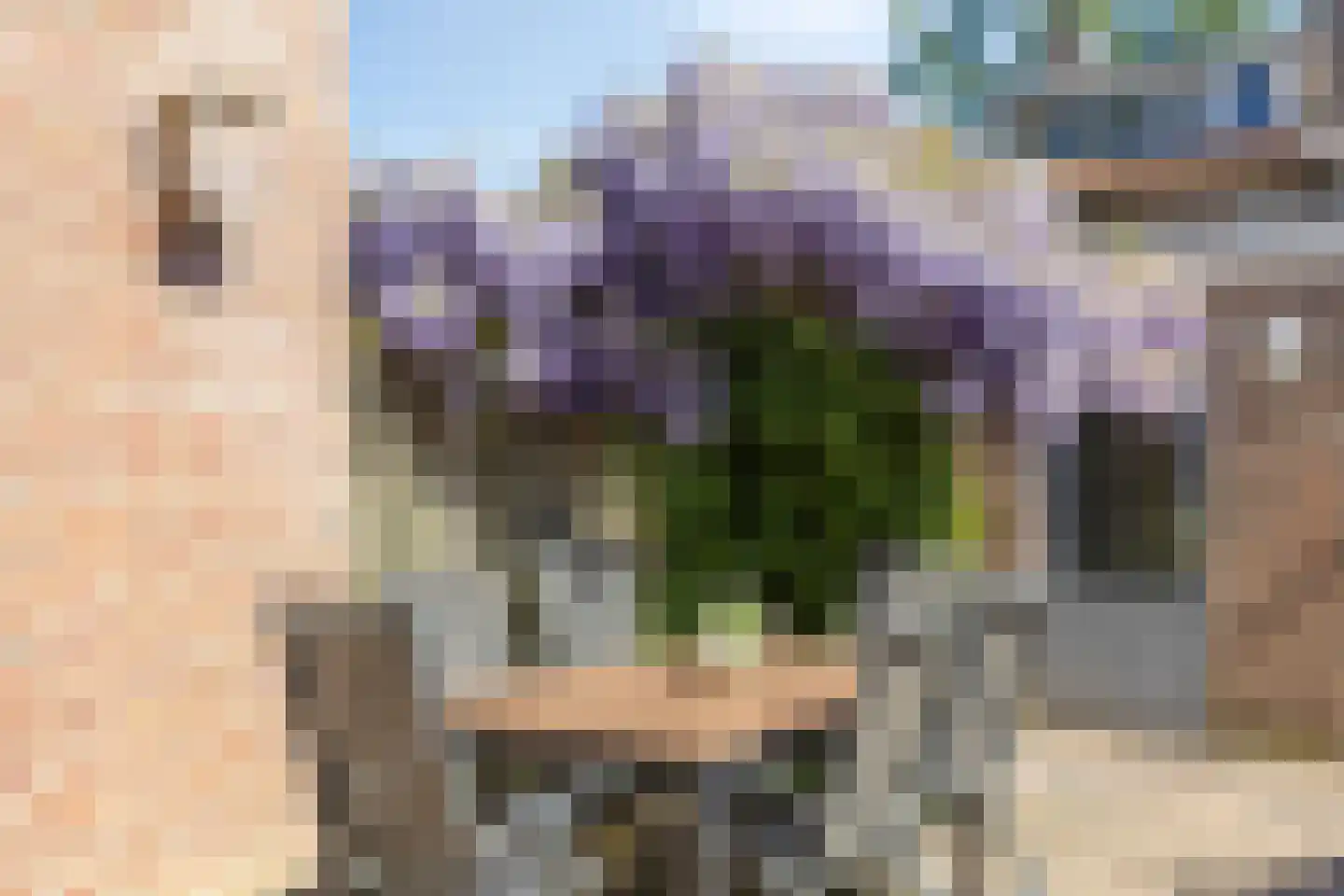 Chopinlaan 46 Eindhoven thumbnail 23