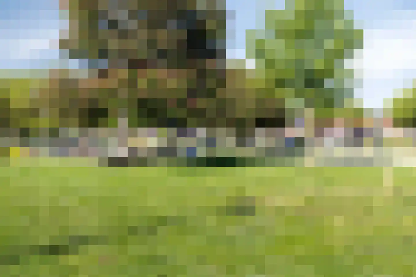 Chopinlaan 46 Eindhoven thumbnail 26