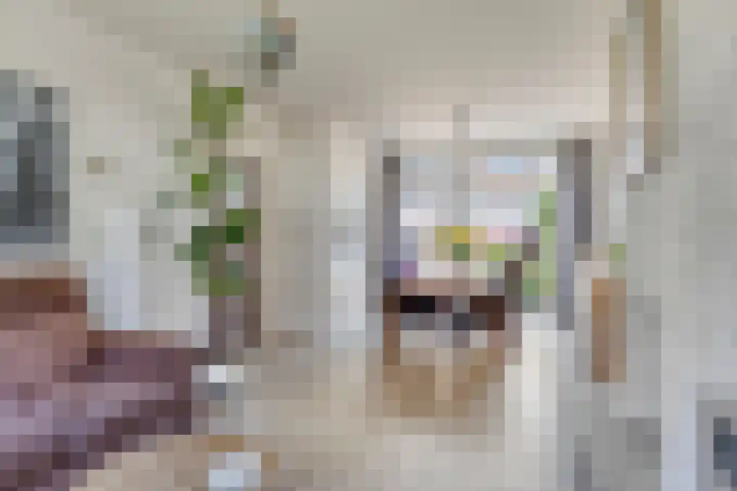 Chopinlaan 46 Eindhoven thumbnail 7