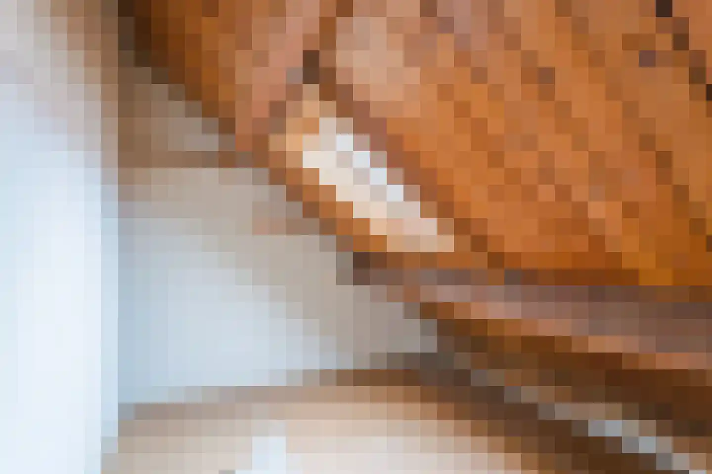 Chopinlaan 5 Eindhoven thumbnail 31