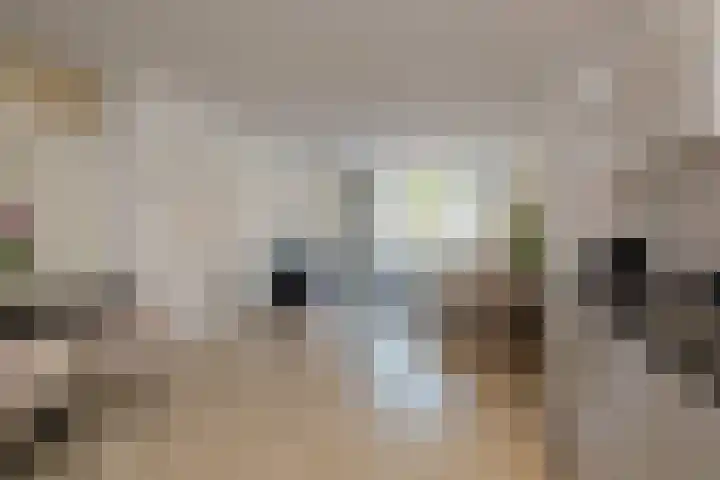 Chopinlaan 5 Leidschendam thumbnail 4