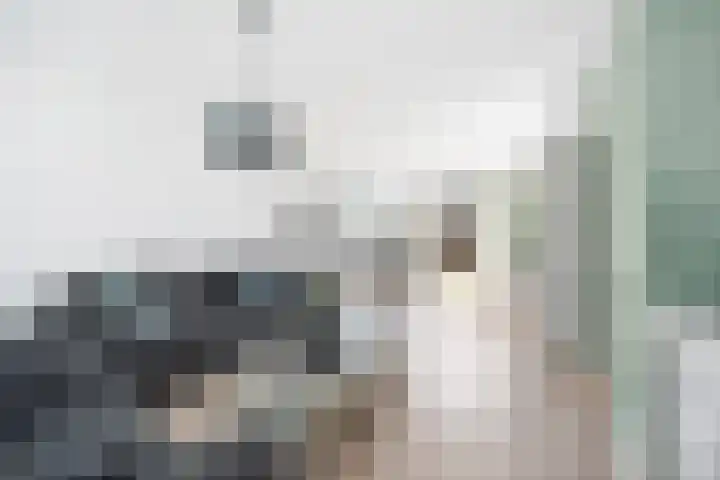 Chopinlaan 5 Leidschendam thumbnail 8