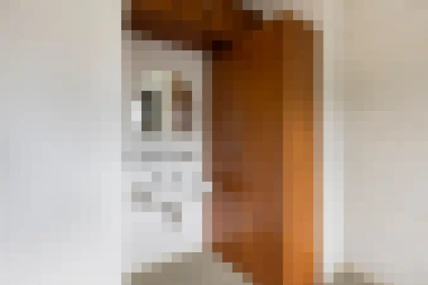 Chopinlaan 51 Eindhoven thumbnail 24