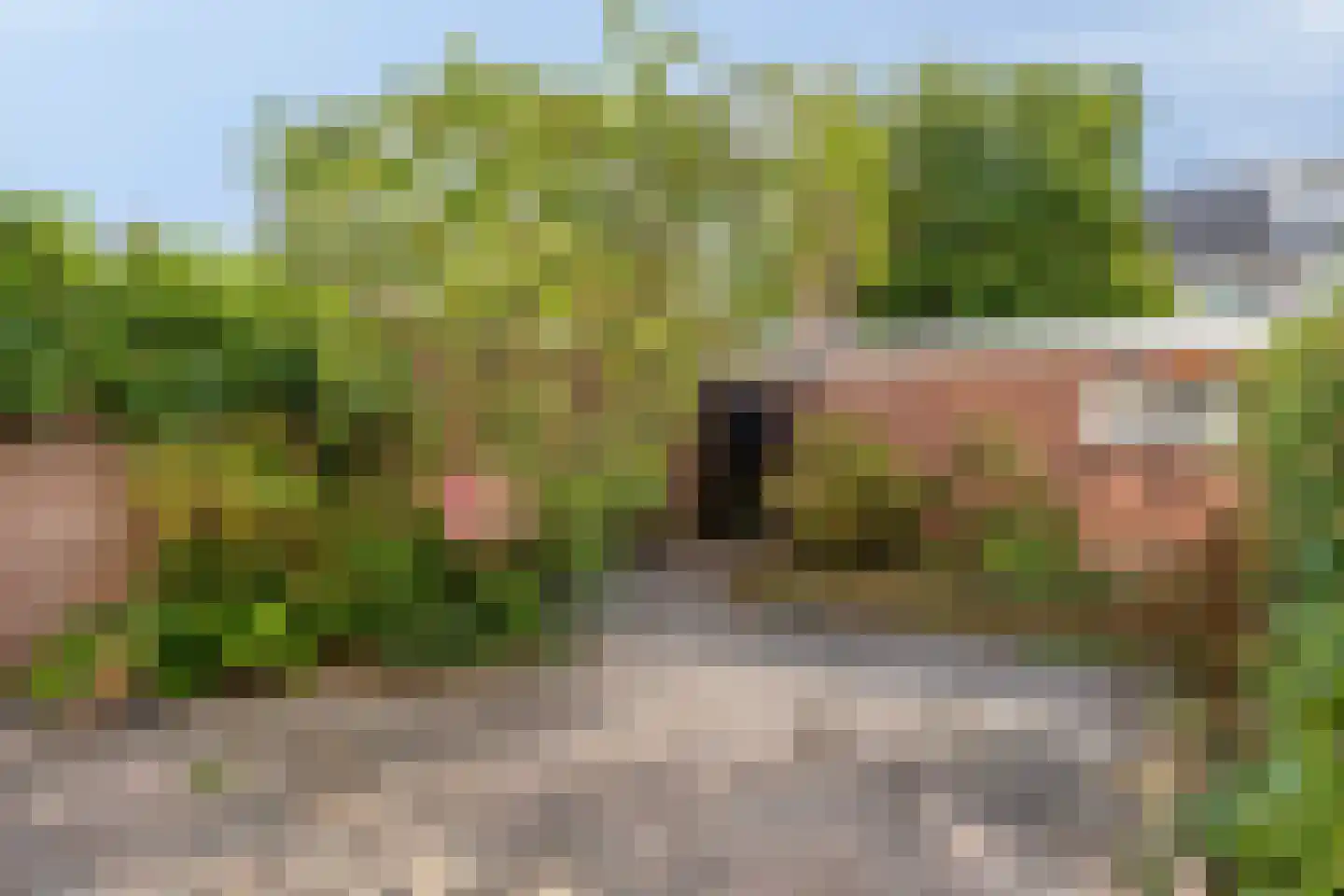 Chopinlaan 51 Eindhoven thumbnail 35