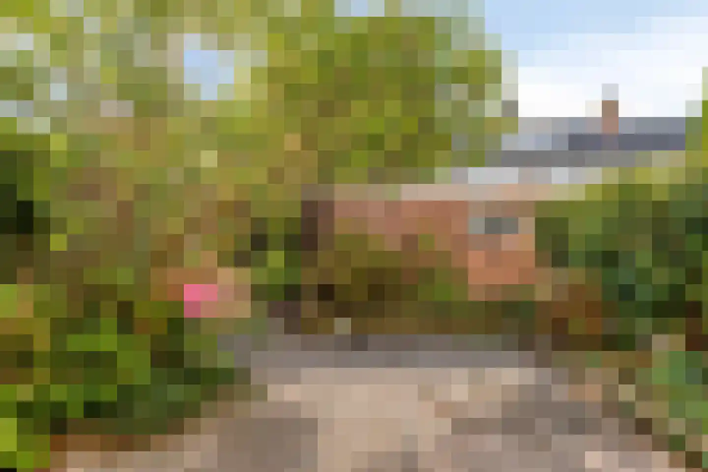 Chopinlaan 51 Eindhoven thumbnail 36