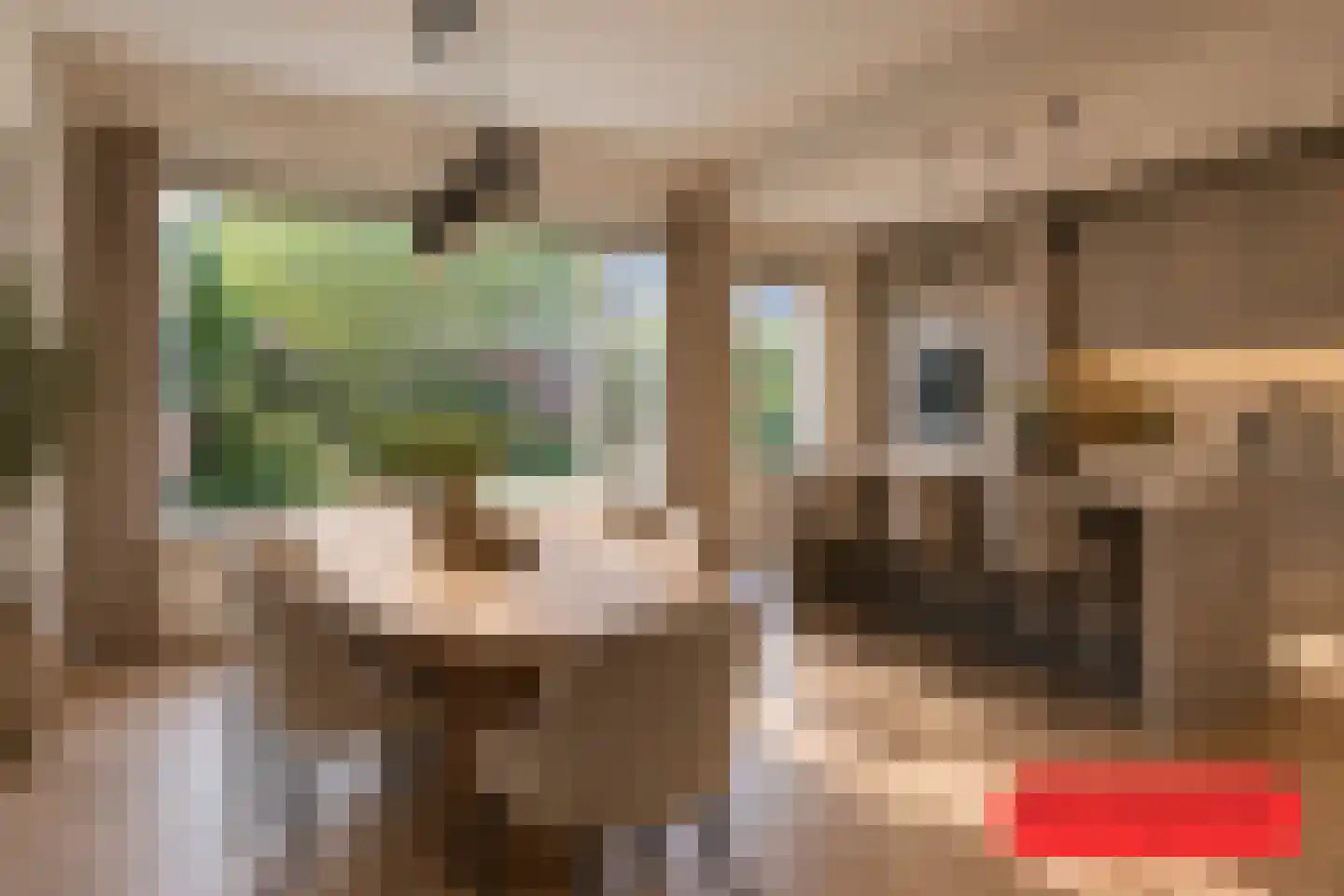 Chopinlaan 51 Eindhoven thumbnail 9