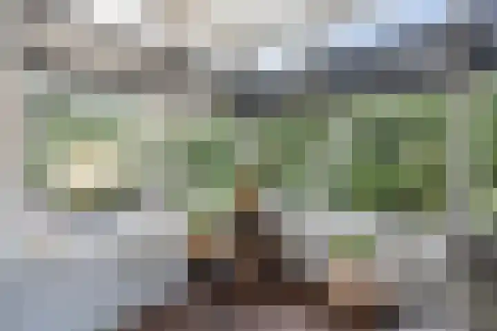 Chopinlaan 52 Assen thumbnail 26