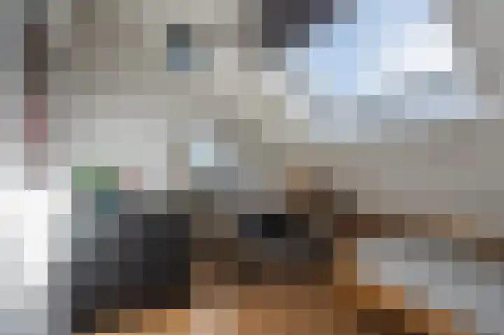 Chopinlaan 52 Assen thumbnail 48