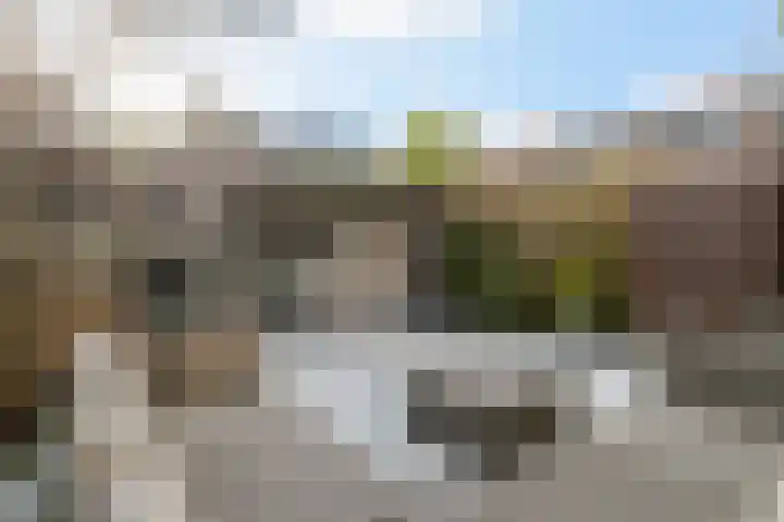 Chopinlaan 58 Rotterdam thumbnail 11