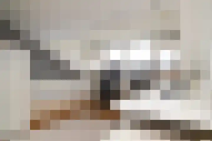 Chopinlaan 58 Rotterdam thumbnail 20