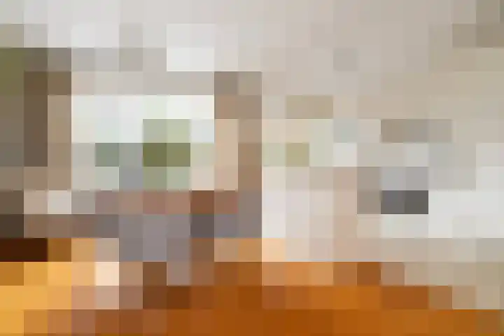 Chopinlaan 58 Rotterdam thumbnail 8