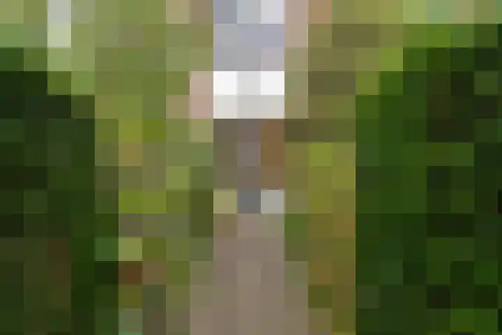 Chopinlaan 6 Leidschendam thumbnail 5