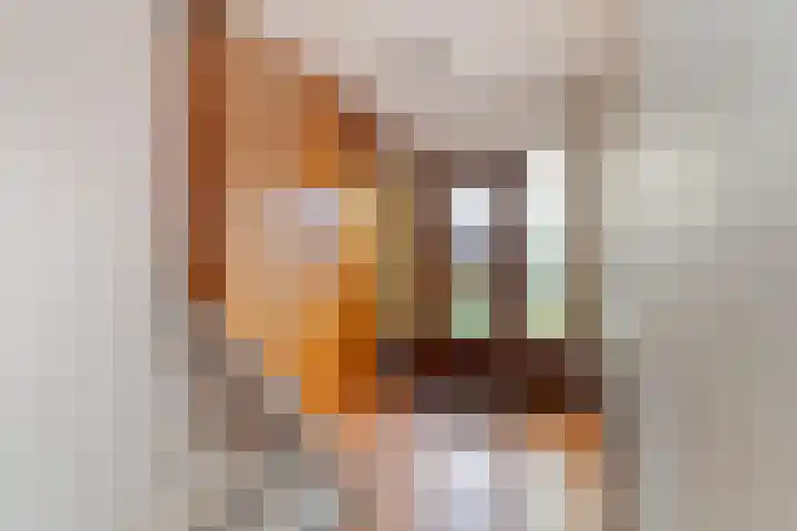 Chopinlaan 6 Leidschendam thumbnail 9