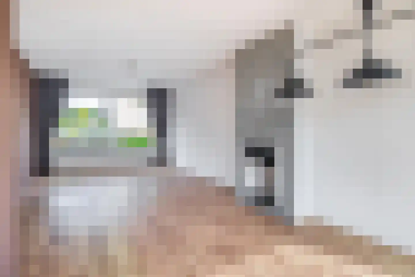 Chopinlaan 63 Eindhoven thumbnail 13