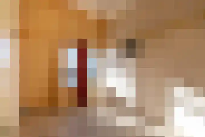 Chopinlaan 63 Vlissingen thumbnail 19
