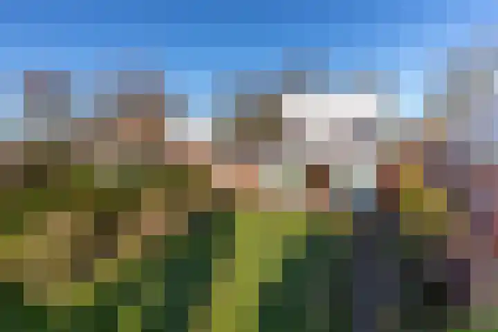 Chopinlaan 63 Vlissingen thumbnail 31