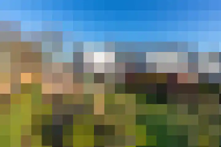 Chopinlaan 63 Vlissingen thumbnail 32