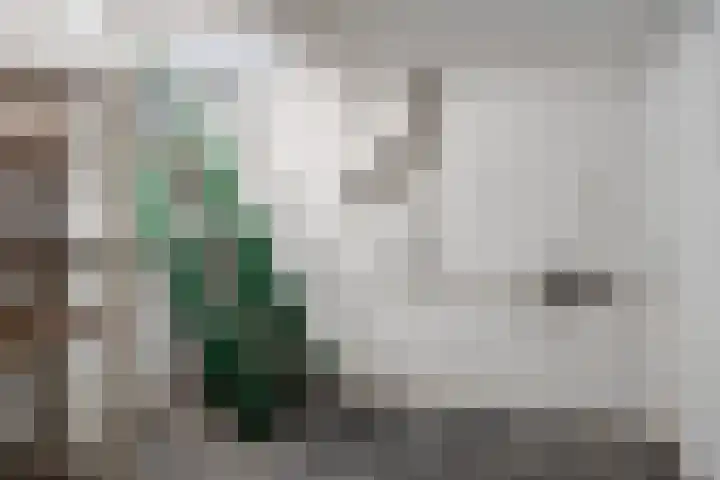 Chopinlaan 7 Apeldoorn thumbnail 14