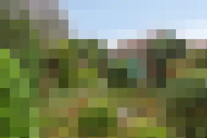 Chopinlaan 7 Apeldoorn thumbnail 17