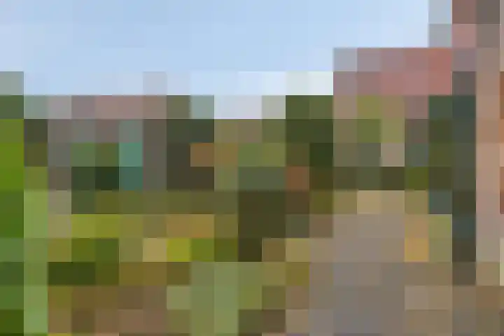 Chopinlaan 7 Apeldoorn thumbnail 19